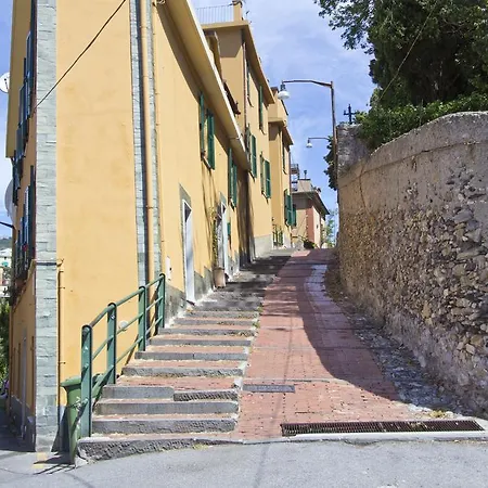 Laxmi Genoa